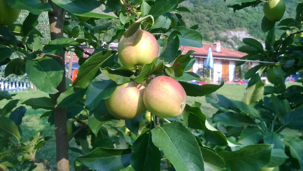 Agriturismo Trefrutti アルコ エクステリア 写真