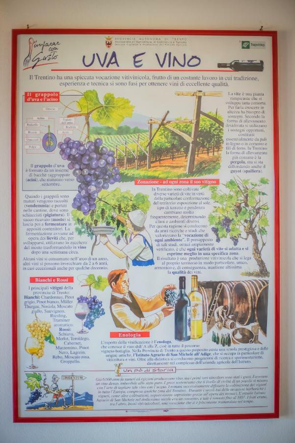 Agriturismo Trefrutti アルコ エクステリア 写真